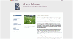 Desktop Screenshot of grupposalingaros.net